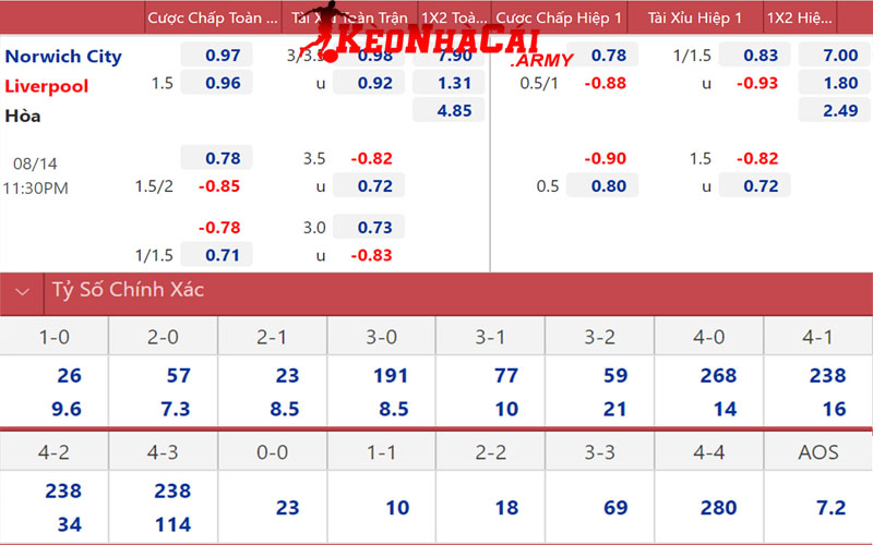Cược chấp phổ biến cho kèo trên kèo dưới là gì?
